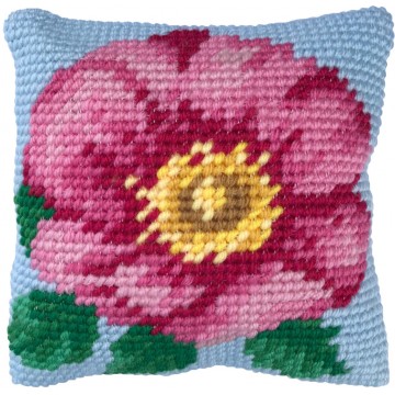 Wild Rose Wild Rose