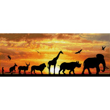 African Sky African Sky