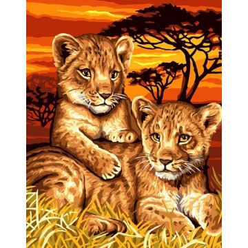 Lion Cubes