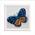 Blue Butterfly (με άσπρη κορνίζα)