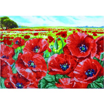 “Red Poppy Field”