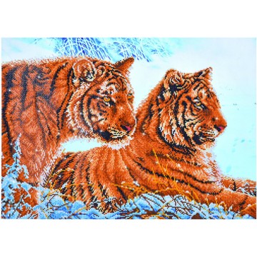 Tigers in the Snow