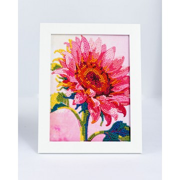 Ruby Eclipse με κορνίζα!