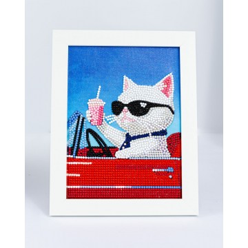 Convertible Cat με κορνίζα!