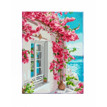 Bougainvillea με τελάρο! Bougainvillea με τελάρο!