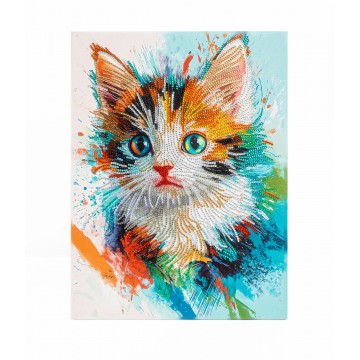 Young Kitten με τελάρο! Young Kitten με τελάρο!