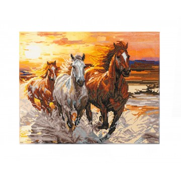 Sunset Gallop με τελάρο! Sunset Gallop με τελάρο!