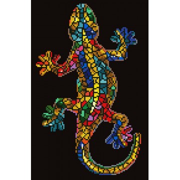 Gekko Paua Gekko Paua