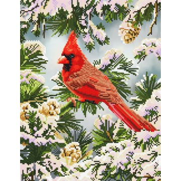 Good Fortune Cardinal Good Fortune Cardinal