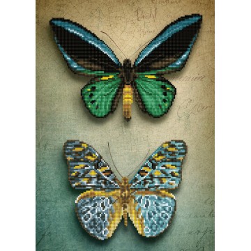 Antique Butterflies Antique Butterflies