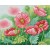 Watercolour Poppies (Τετραγωνα Diamonds)