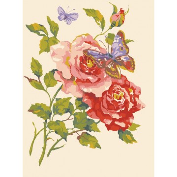 Pink Roses and Butterfly