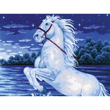 Magical Horse
