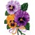 Pansies Bouquet