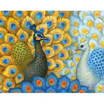 Exotic Peacocks