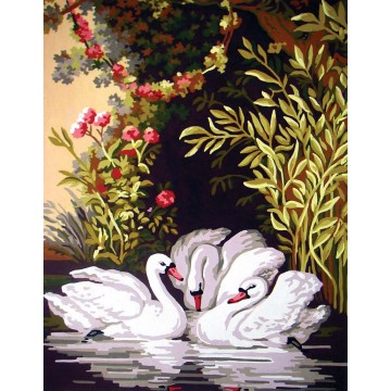 Swans in the Shade