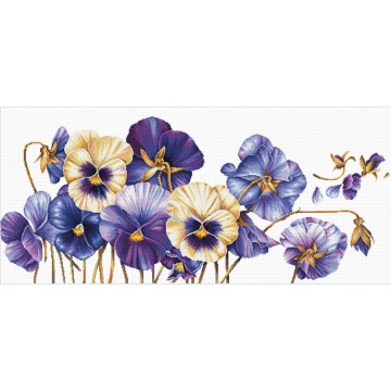 Purple Pansies