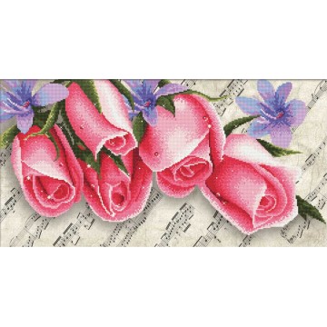 Pink Roses & Music