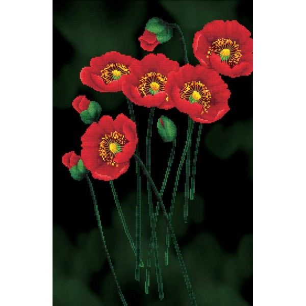 Red Poppies on Black