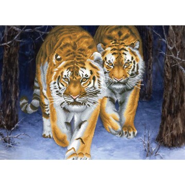 Stalking Tigers